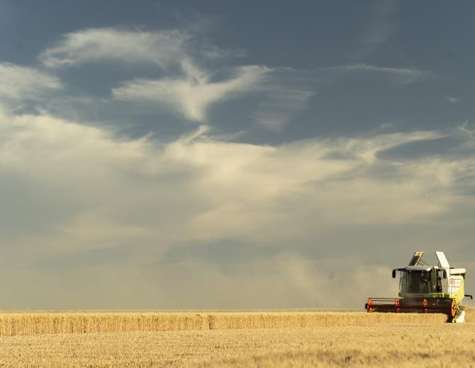 Estimation des rendements blé tendre 2023